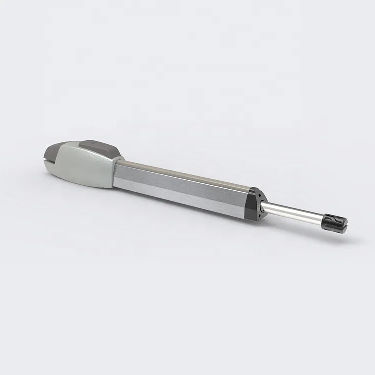 2024 excellent quality and fashion cheap operator of remote swing door operator smart WiFi automatic gate opener