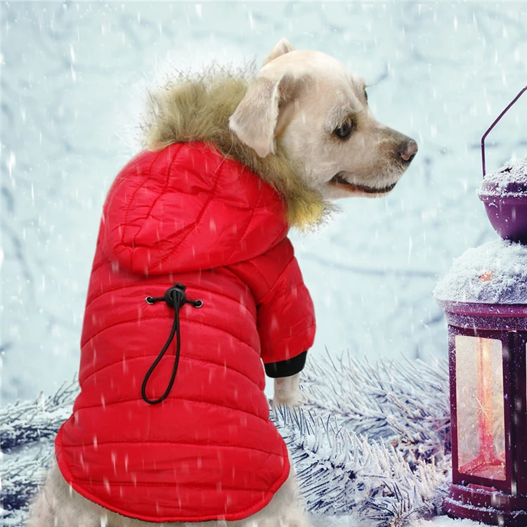 Manufacturer Wholesale Small Pet Down Jacket Warm Button Design Cotton Winter Dog Jacket