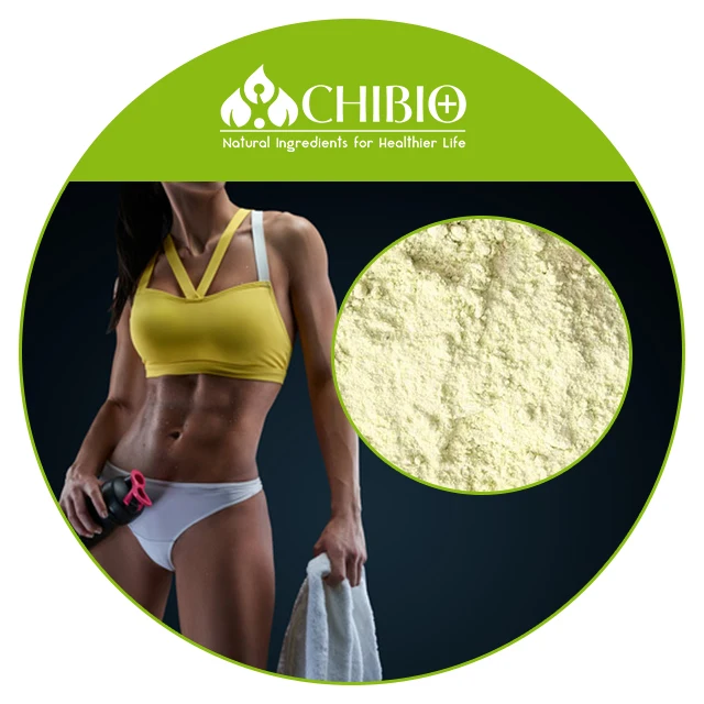 
Pure Textured Pea Protein Concentrate Isolate Powder for Fat Binder Plant-Based Meat 