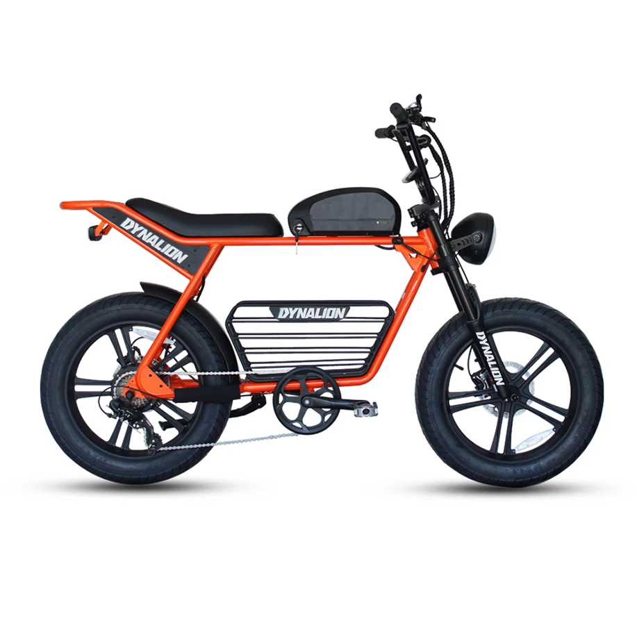 New Arrival Mountain Electric Fat Gravel Bike