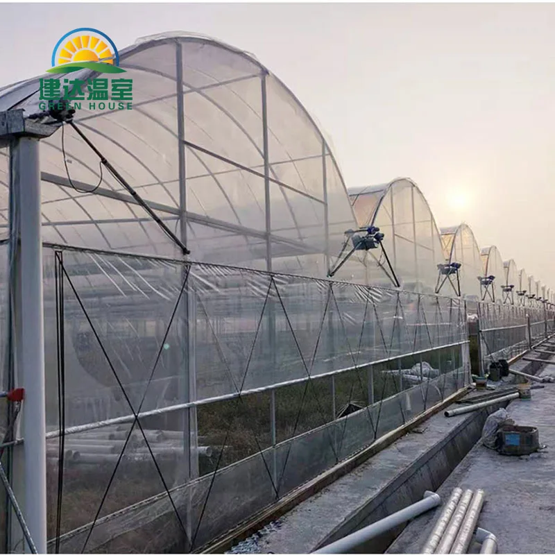 smart tomato green house with hydroponic growing system
