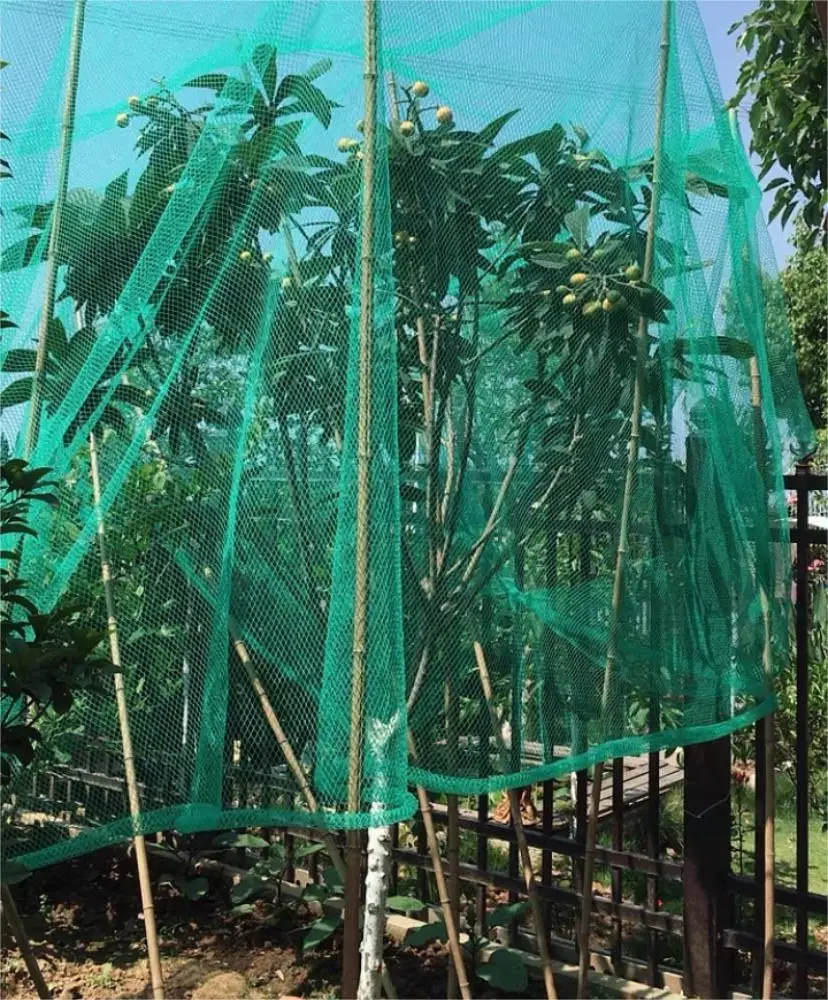 Agriculture  mesh plant vegetables fruit protection anti bird net garden