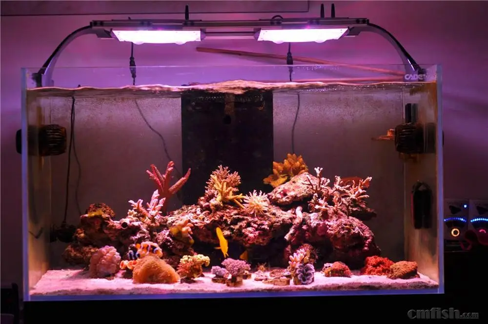 Беспроводной пульт дистанционного управления с регулируемой яркостью коралловых рифов светодиодный светильник 150 Вт Светодиодная подсветка для аквариума, 120 Вт led аквариум свет