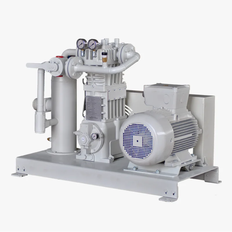 LPG air compressor biogas compressor