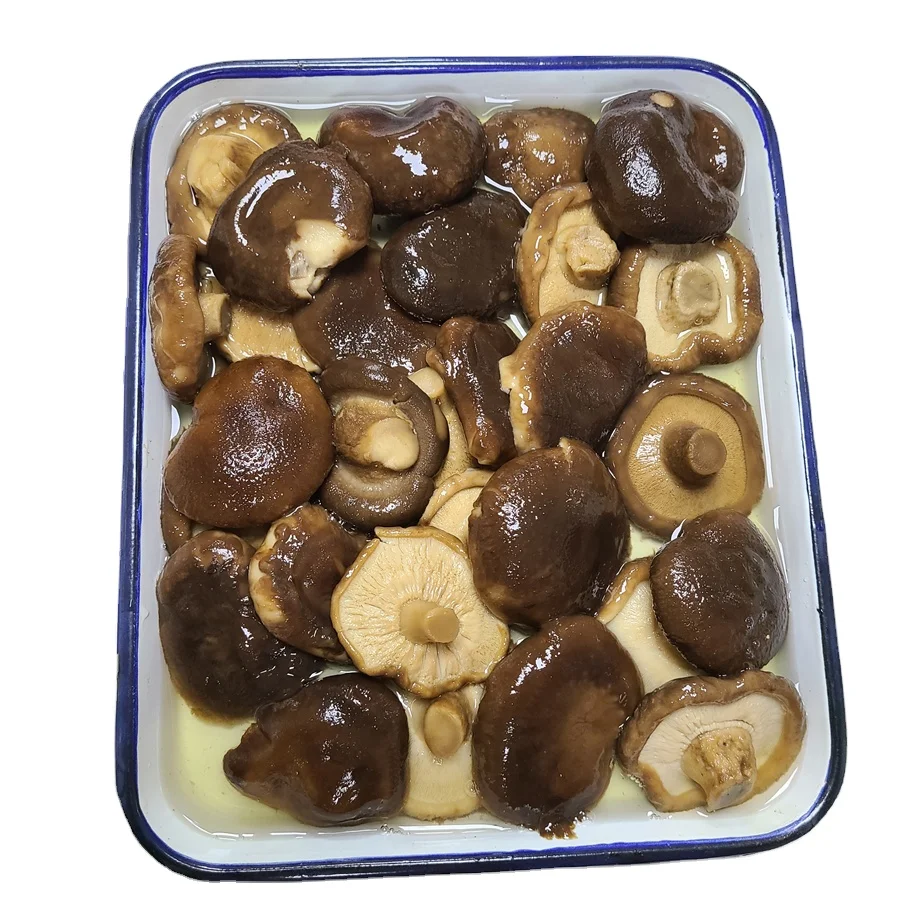 3kg Good Quality Canned Shiitakes Mushroom in Brine for Cooking