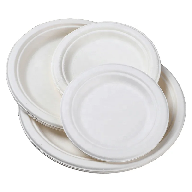 disposable foam plate