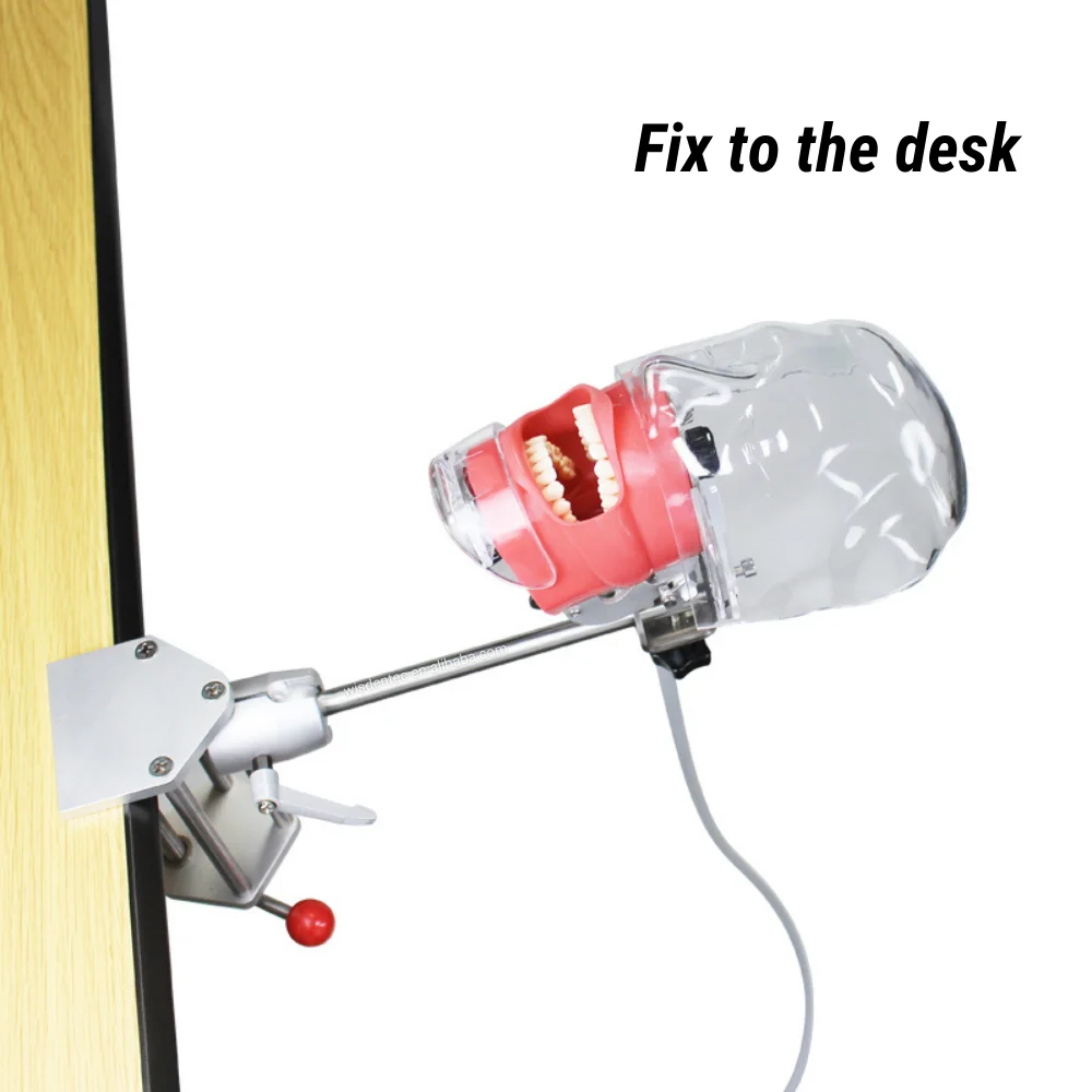 phantom head dental model desk type oral therapy equipments for school training manikin simulator typodont dental laboratory