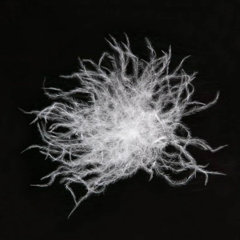 700 Fill Power лак белый пуховик на утином пуху 90%