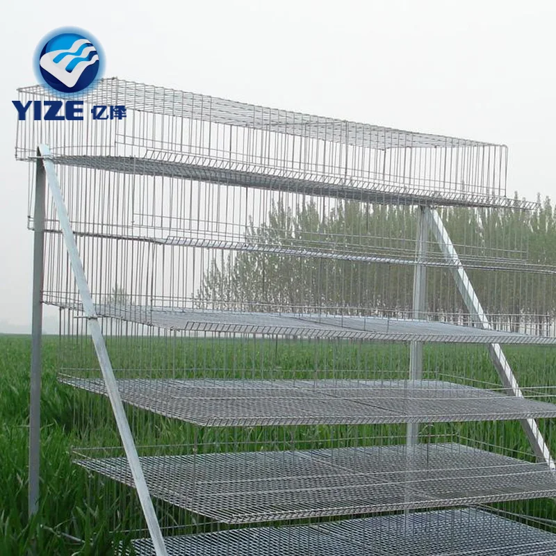 Fully automatic quail farm quail cages and equipment 6layer for sale
