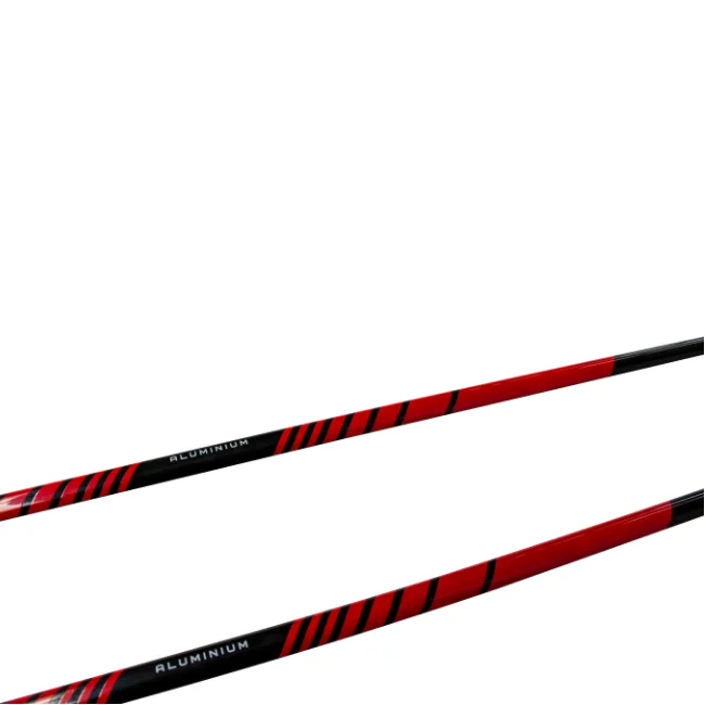 High Quality Classic Aluminum Downhill Ski Poles Lightweight with Durability Factory Direct Sale from China