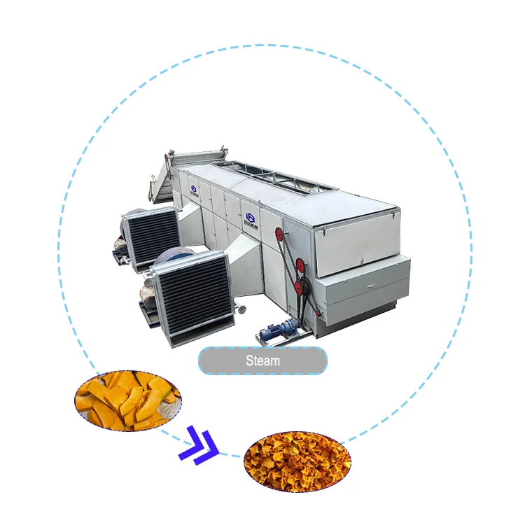 Industrial Dry Fruit Dehydrate Oven Food Chili Betel Nut Drying Machine Charcoal Briquette Pumpkin Dryer