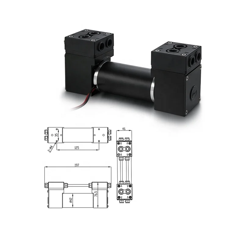Fuidsmart -95KPa 12v 24v micro air vacuum pump mini air pump dc small diaphragm vacuum pump for petrochemical gas detection