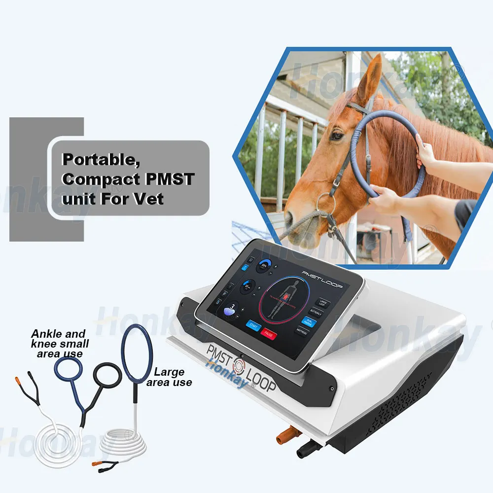 2024 Portable Pets Magneto Equine Therapy PEMF Machine Physio Therapy Equipment PMST LOOP for Horse Animals Muscle Issue