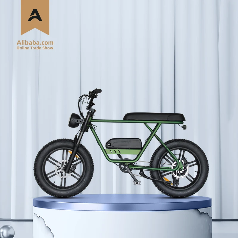 48v Big Power 20 inch Folding Fat Tire Electric Bike/Snow Ebike/Electric Beach Cruiser Bicycle 24 inch folding bicycle