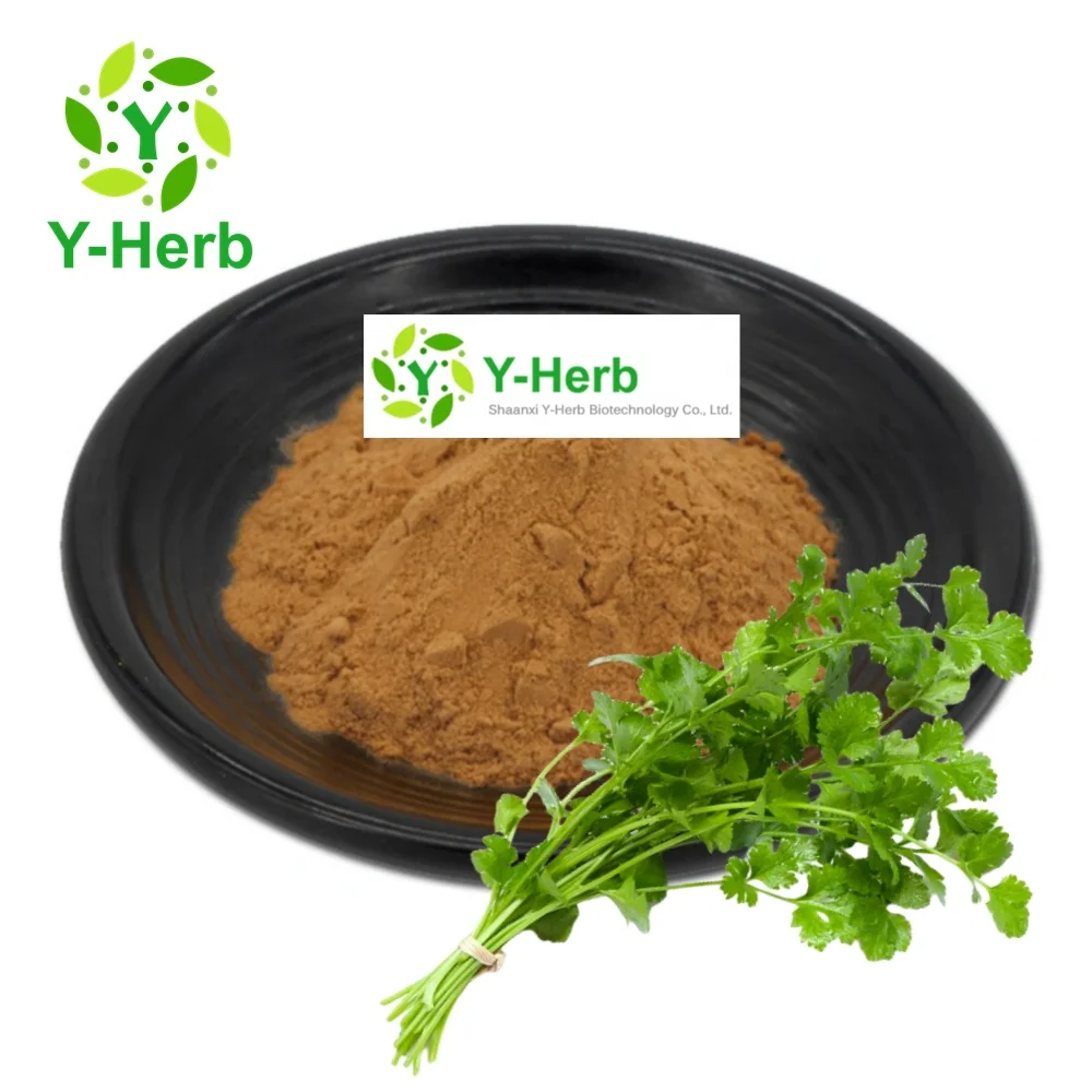 Carum Carvi Extract Powder Dried Caraway Seed/Leaf Extract 10 1 Xiang Cai/Caraway Extract
