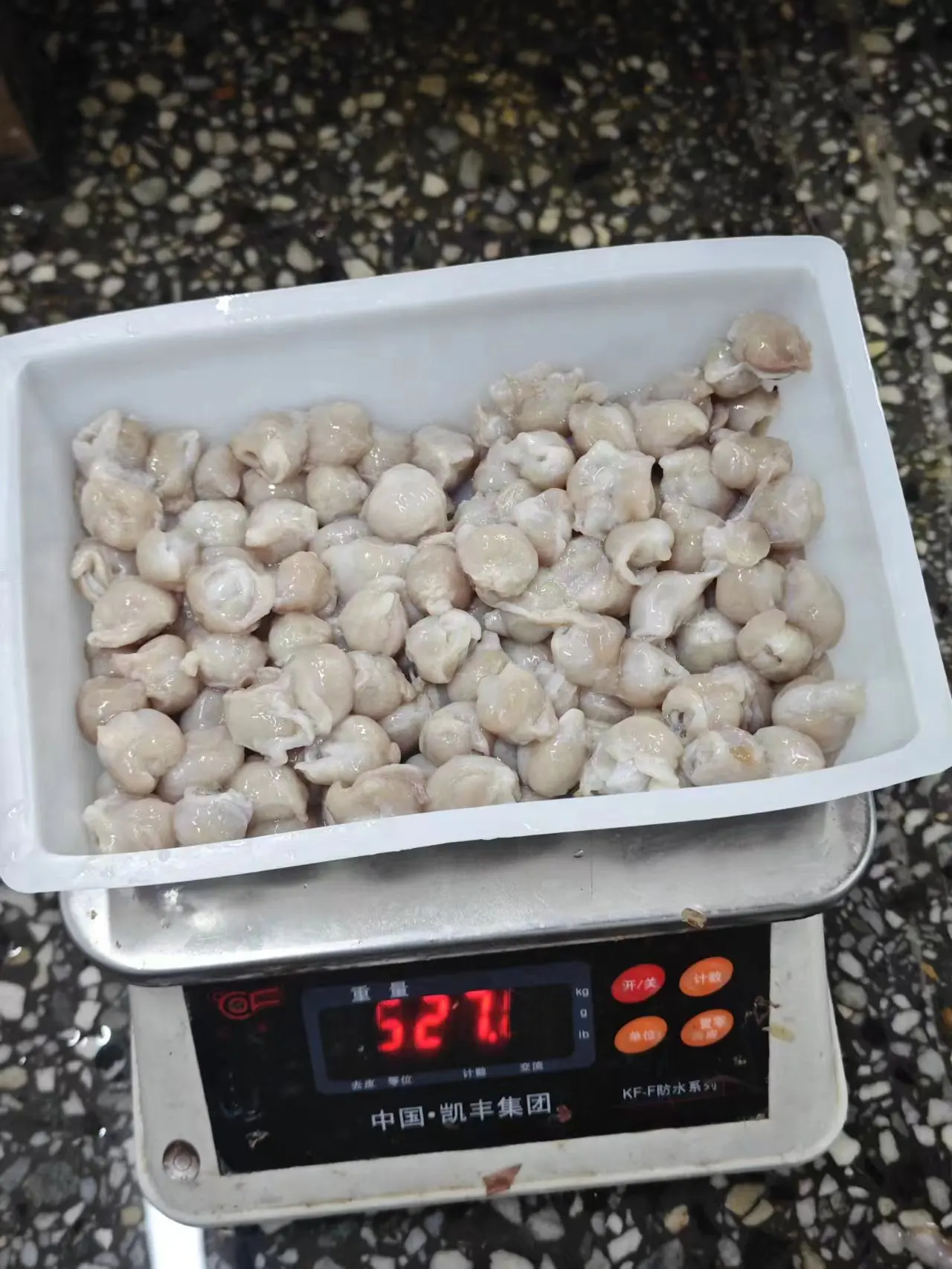 High Quality Frozen Squid Beak 10kg/ctn Seafood Frozen Giant Squid Beak