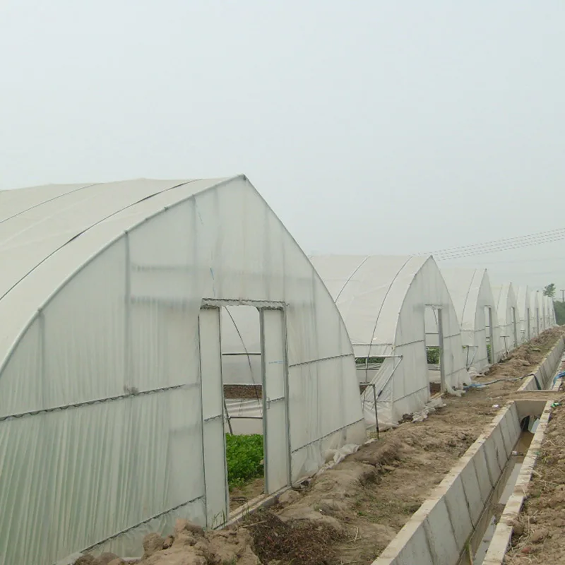 Agricultural commercial single span greenhouse with hot dip galvanized steel pipe