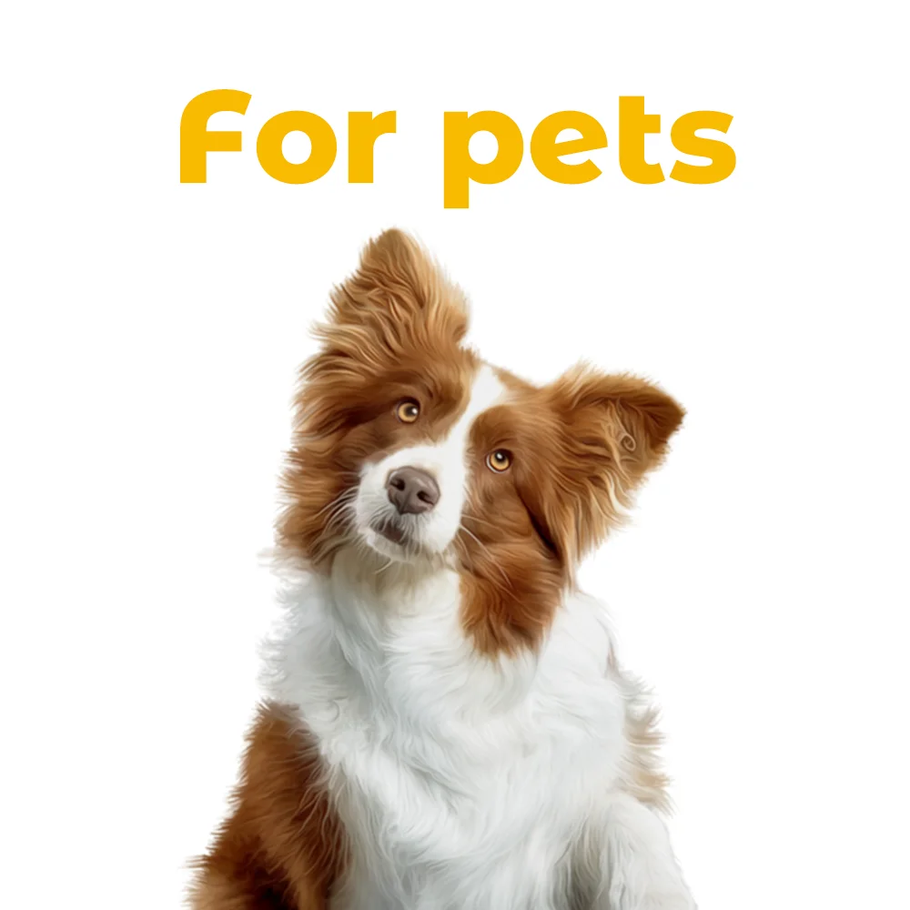 Organic Pumpkin Powder Nutritional Supplement Natural Fibre for Dogs Cats Promotes Digestive Health Care Factory Wholesale