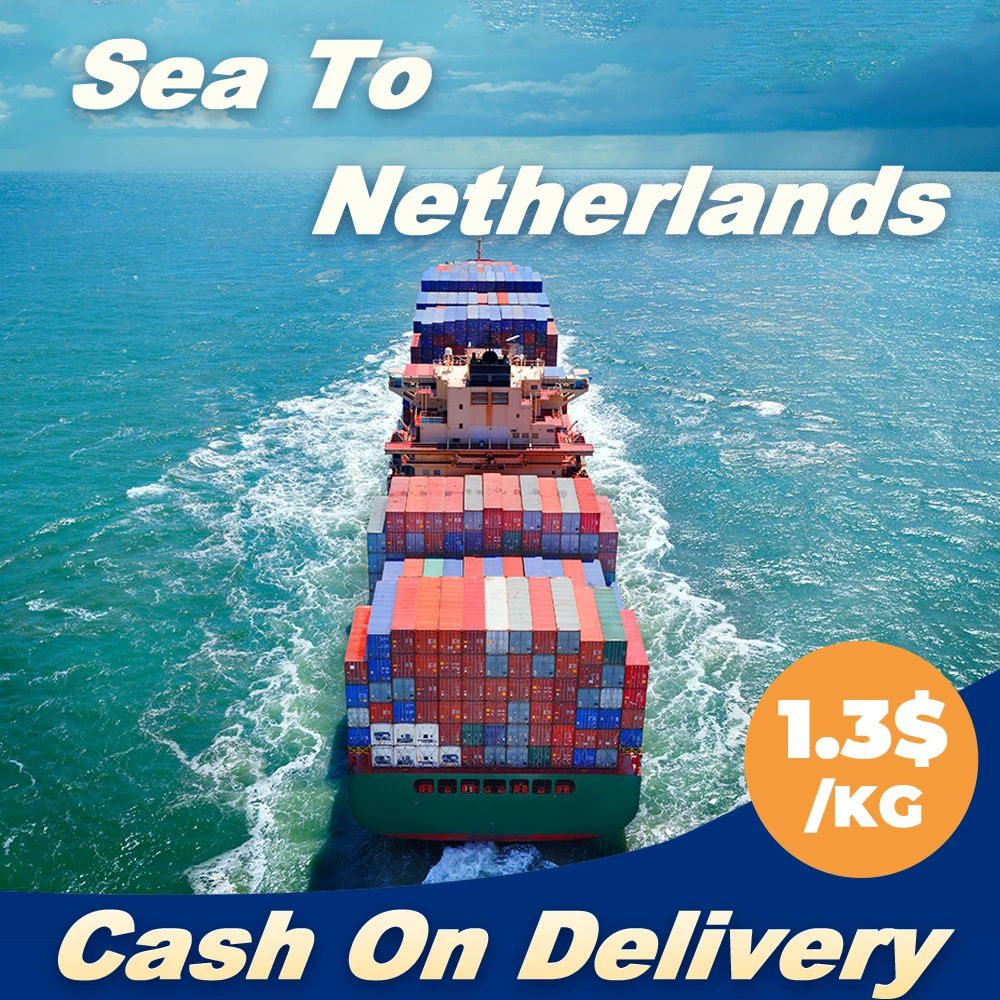 cif ddp sea freight service to the netherlands by sea