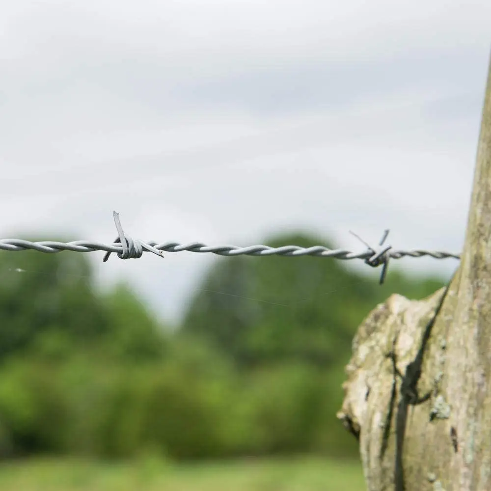 Barbed Wire Fencing Prices Single Fils Barbel Galvaniser Price Per Roll Kenya