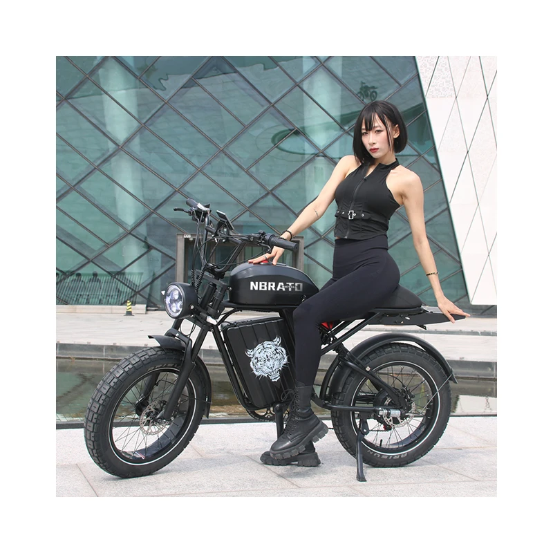eu stock motorcycles off road retro 50km/h fast 20 inch  electric bicycle fat tire for sale