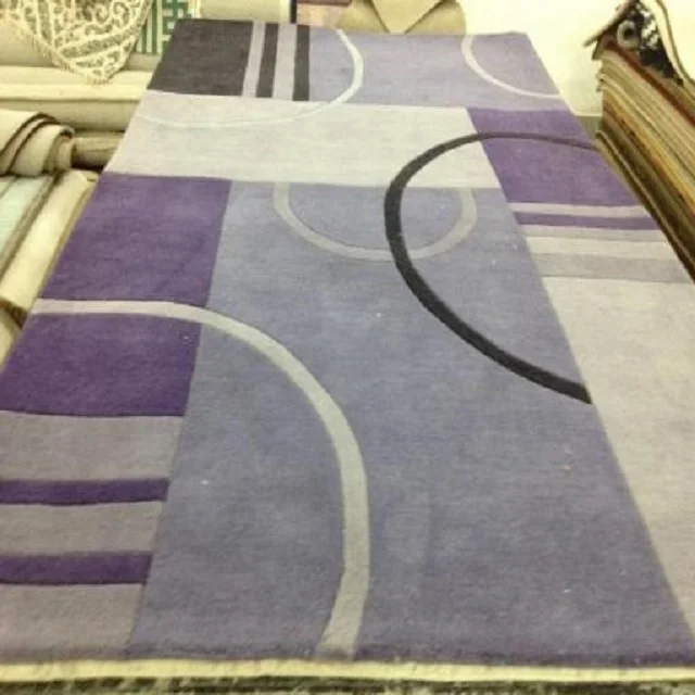 Modern Design Hand Tufted Wool Carpet Area Rug with Cotton Canvas Backing for Living Room and Bedroom Kid Room Adult Plush