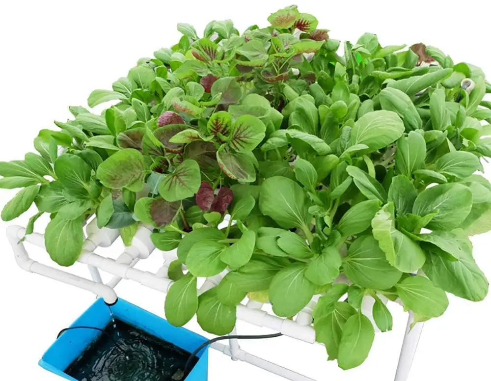 Indoor 3 Tier Hydroponics Systems Vertical Grow Tower Nft Channel Microgreen Growing System Hydroponics System