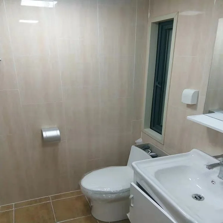 Australia New 20ft high cube shipping expandable container houses