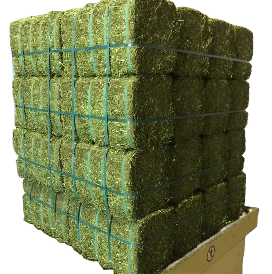 Alfalfa Hay for Animal Feed at wholesale price Alfalfa Hay