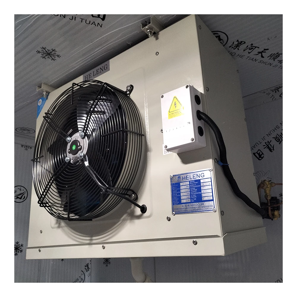 Best Selling Chiller Cold room for icecream storage wall mounting type  mono block system Brand Compressor Cold room
