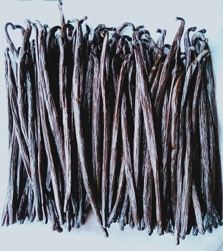 RENDAH PLANIFOLIA GRADE-2 20-22CM VANILLA BEANS for EXTRACTION Best Quality Indonesian Hot Selling Bourbon Reasonable Best Price