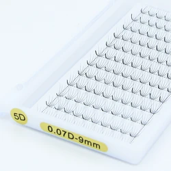 High Quality 3d 4d 5d 6d 7d 8d 9d 10d 0.07 D Curl Korean Pbt Wholesale OEM Eyelash Dark Black Premade Volume Lash Extensions
