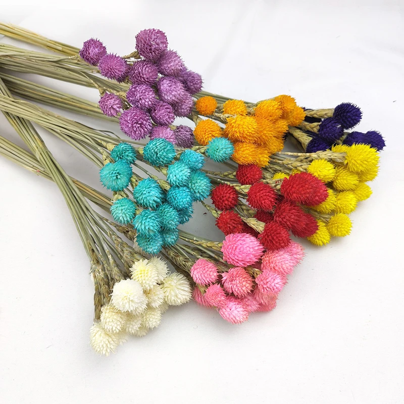 Dried Flowers Globe Amaranth Natural Dead Dry Decorative Flowers Strawberry Fruit Gomphrena Globosa For Home Wedding Decoration