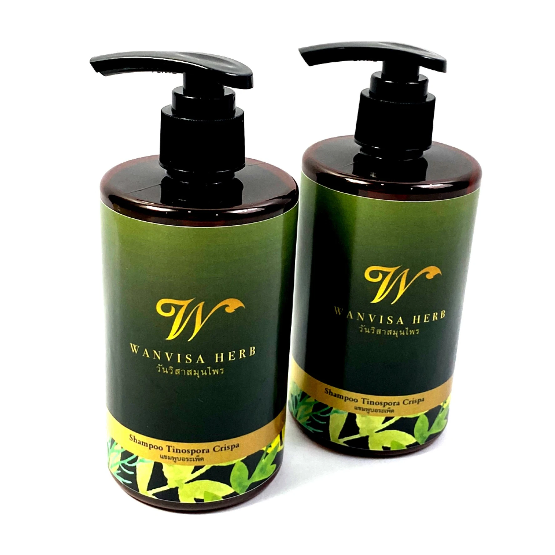 High Quality Premium Wholesale Herbal Tinospora Crispa Extract Anti Hair Loss Shampoo Care in bottle from Thailand