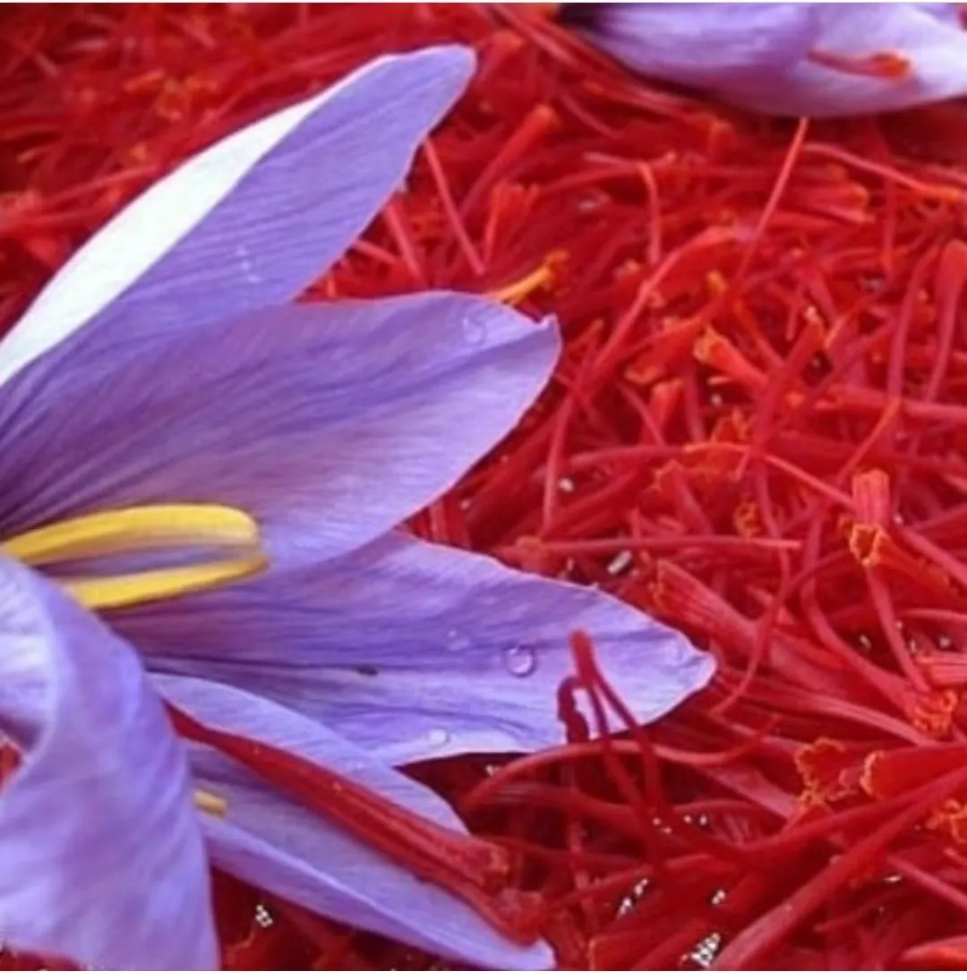 100% Natural Bulk Saffron (Super Negin/Negin/Sargol/Pushal) Zafran/Crocus - High Quality Saffron