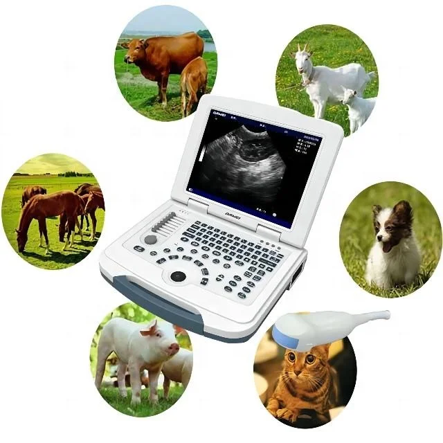 Dawei Portable Veterinary Cat/Horse/Sheep/Cow/Equine Ultrasound Machine Cost