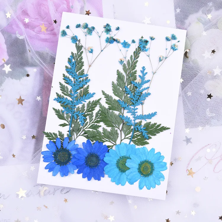 2022 best selling dried flower embossed material embossed really natural plant specimens for bookmark mobile phone case