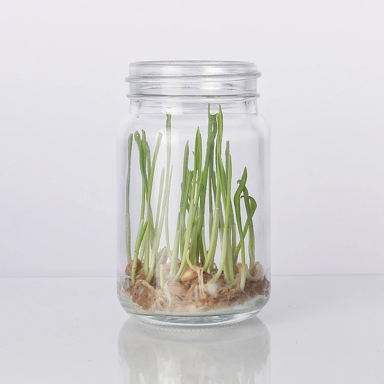 100ml plant tissue culture glass bottle mushroom culture bottle ecological glass bottle with plastic cap