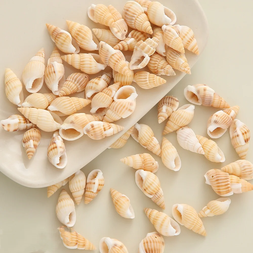 Different mother of pearl shell Bead Conch Seashell Cowrie For DIY Home Decoration And DIY Jewelry Making