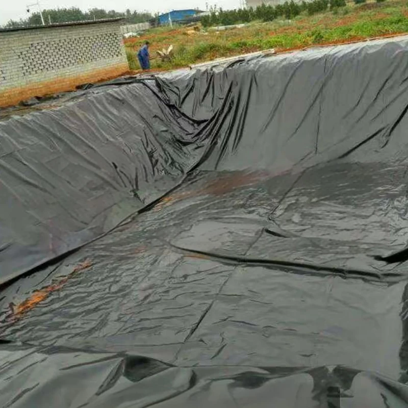 Top Quality OEM Factory Low Price Promotional Geomembrane Per Meter square
