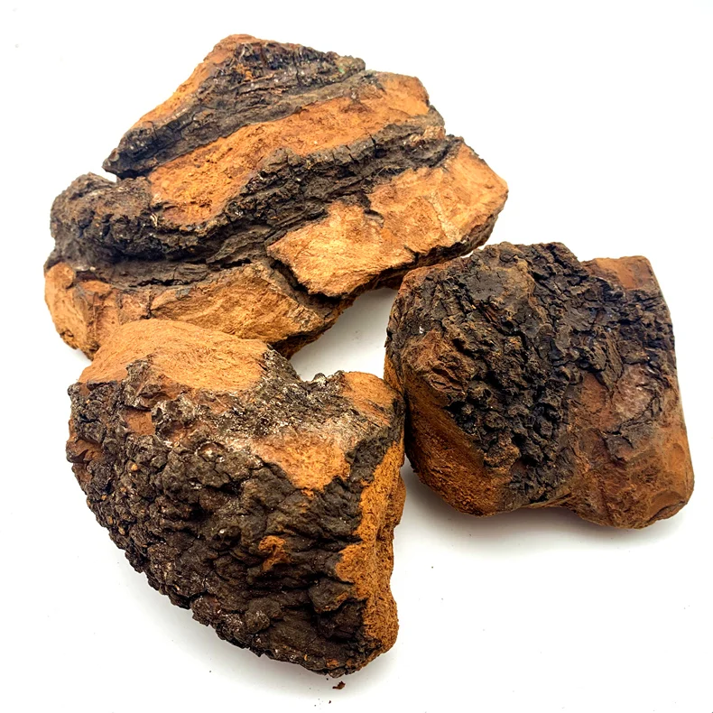 
100% Natural Wild Siberian Dried chaga mushroom chunks / Chaga Tea 