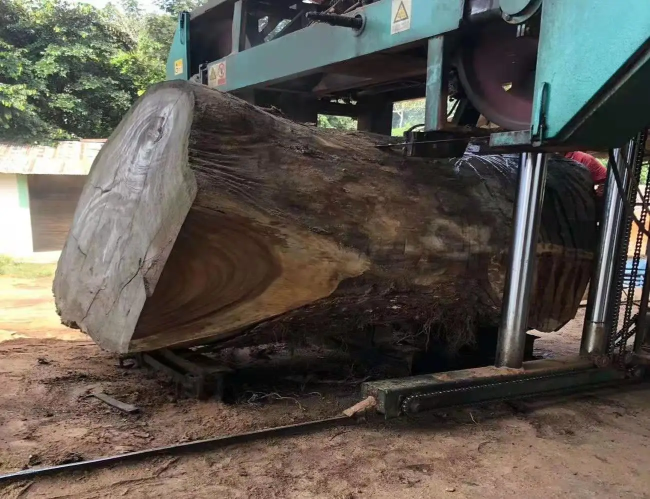 Machine Working With Feed China Wood Cutting Industrial Sawmill Woodworking Horizontal Band Saw