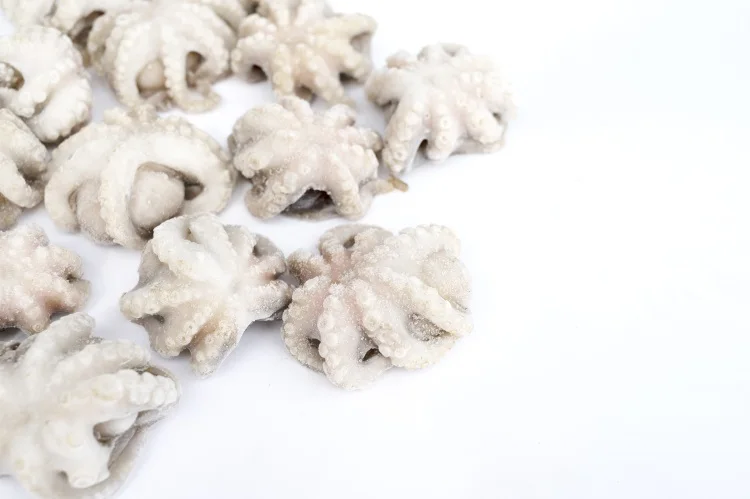 Factory wholesale little octopus nutritious vitamins frozen octopus
