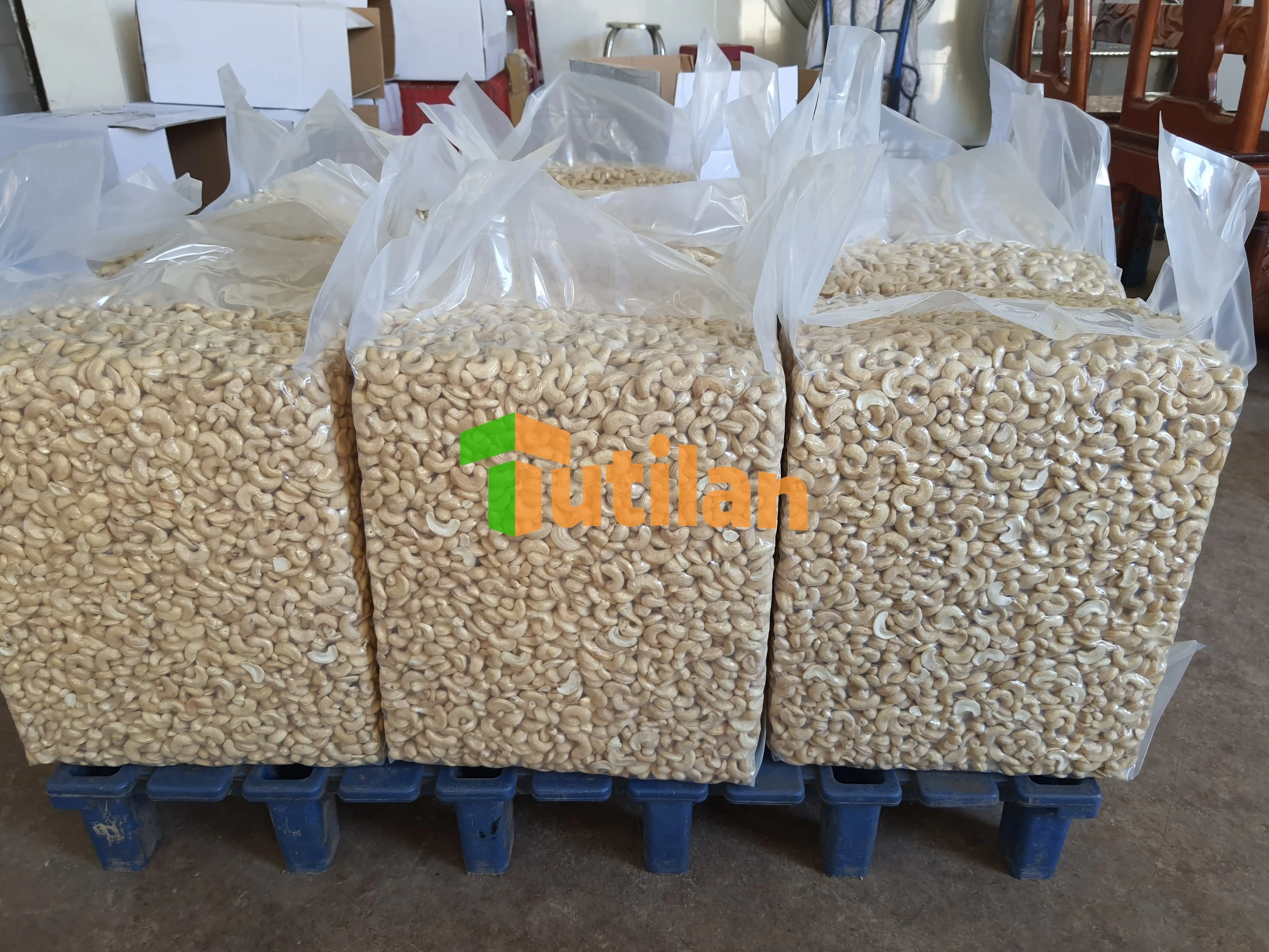 Wholesale Vietnamese High Quality Raw Cashew Nuts With Best Price And All Size Raw Cashew Nuts