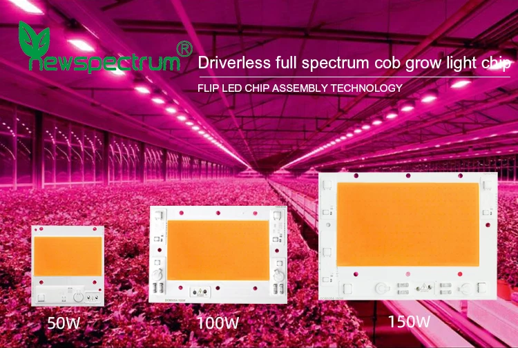 Driverless Smart IC Chip 100W 150W COB DIY Indoor Plant Seedling Grow lamp full spectrum chip cob 50w 220v
