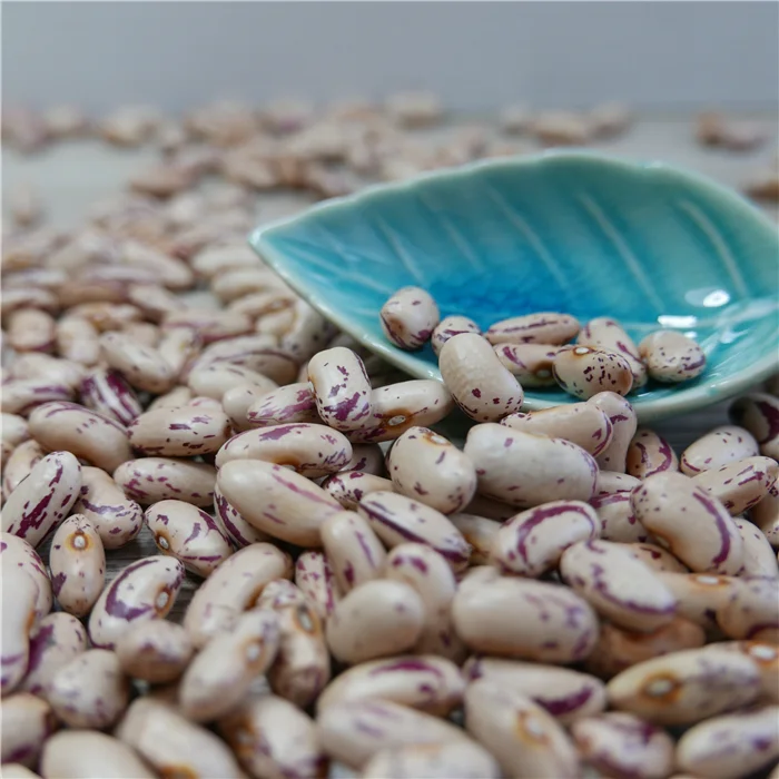 Factory OEM ODM Dry Non GMO Light Speckled Pinto Beans Red And White Kidney Beans
