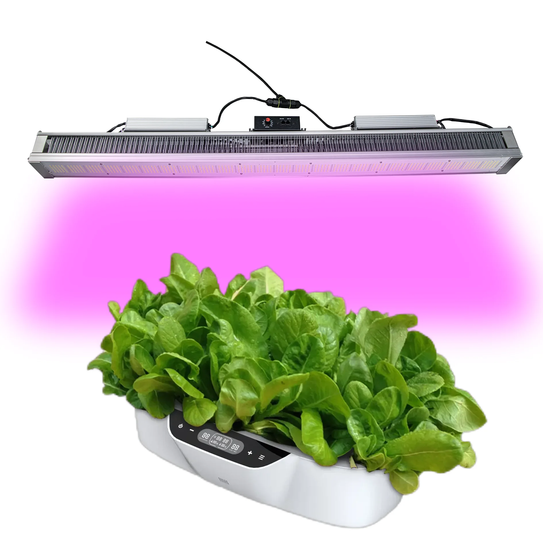 LED Commercial Strawberry Plant Light Succulent Venus flytrap Cultivation Growth Light vertical farming grow light
