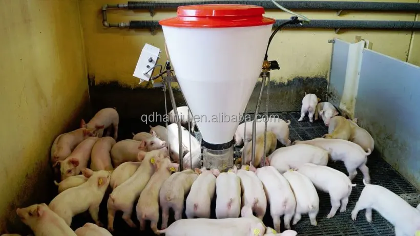 New &  Pig Feed Trough Feeder Steel and Plastic Feeding Equipment for Pig Farms for Home Use with 1-Year Motor Warranty