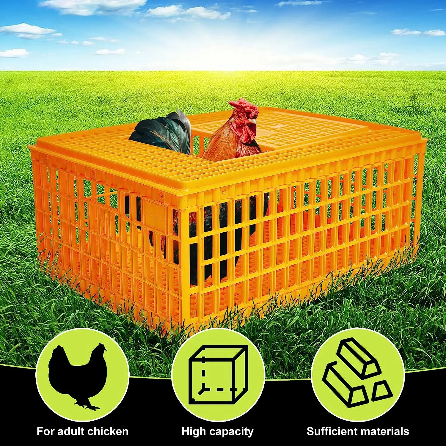 live chicken transport cage poultry plastic transport crate for duck chicken pigeon