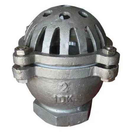 SAE 304 316 Stainless Steel Flanged Foot Valve with Screwed End